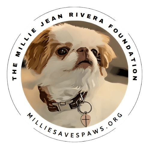 The Millie Jean Rivera Foundation